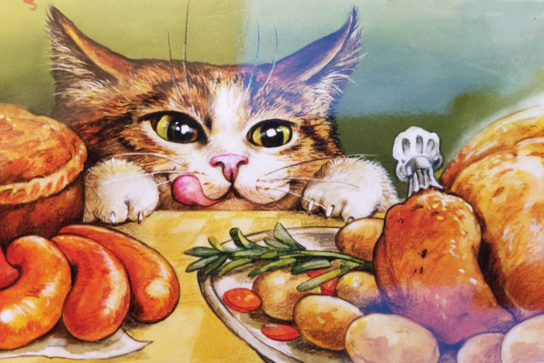 Cat and Thanksgiving Dinner
