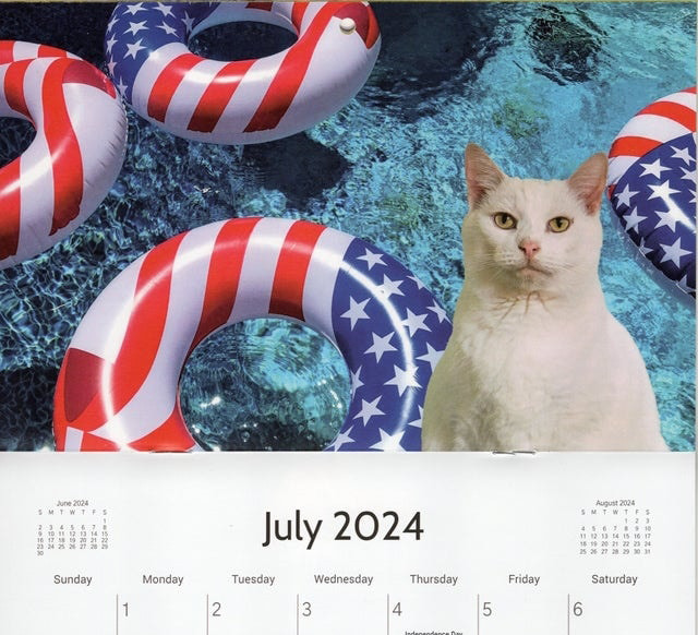 2024 Cat Calendar
