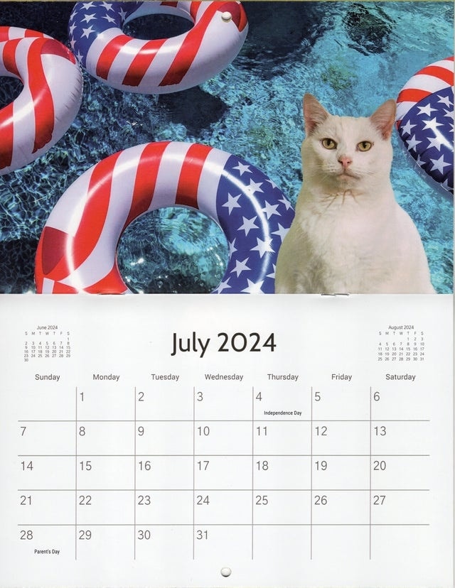 Cat Calendar July 2024