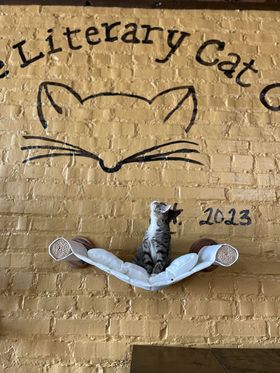 Literary Cat Co.