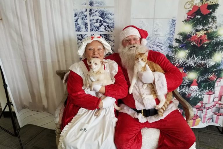 Santa Paws and Mrs. Claws