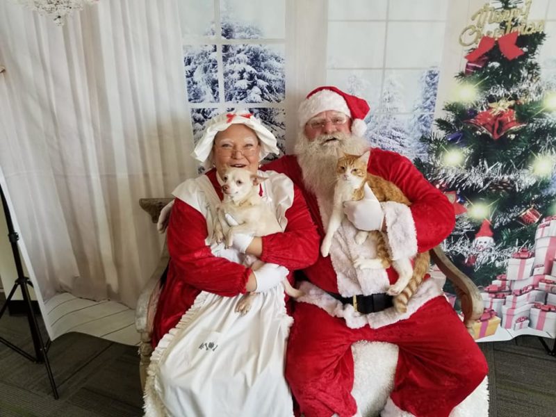 Santa Paws and Mrs. Claws Santa Paws and Mrs. Claws