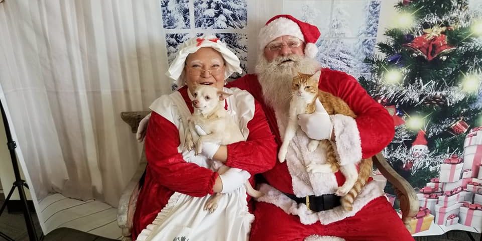 Santa Paws and Mrs. Claws Santa Paws and Mrs. Claws