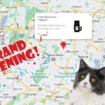 New Northern New Jersey Cat Cafe Now Open in Montclair! Hurry in to Catfe Montclair for Cats & Coffe...