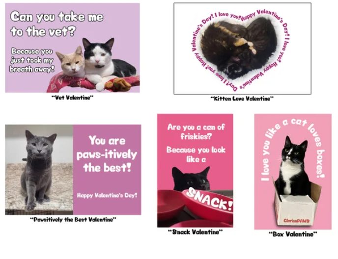 Cat Valentines