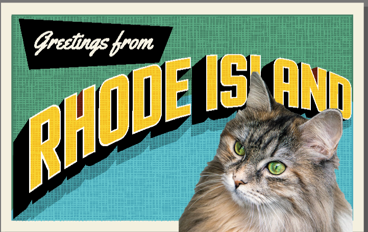 Rhode Island Cat Postcard
