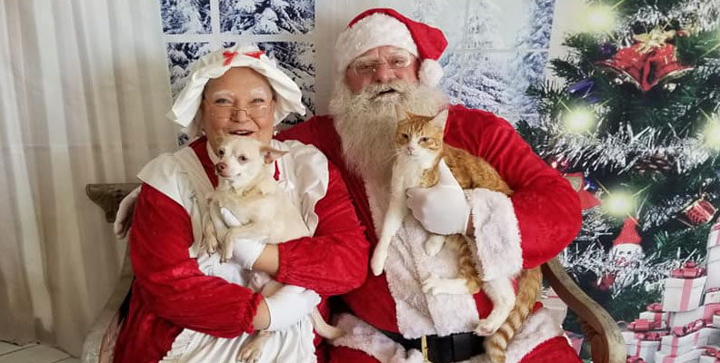 Real Santa Paws and Mrs Claws