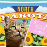 North Dakota Cat Cafe