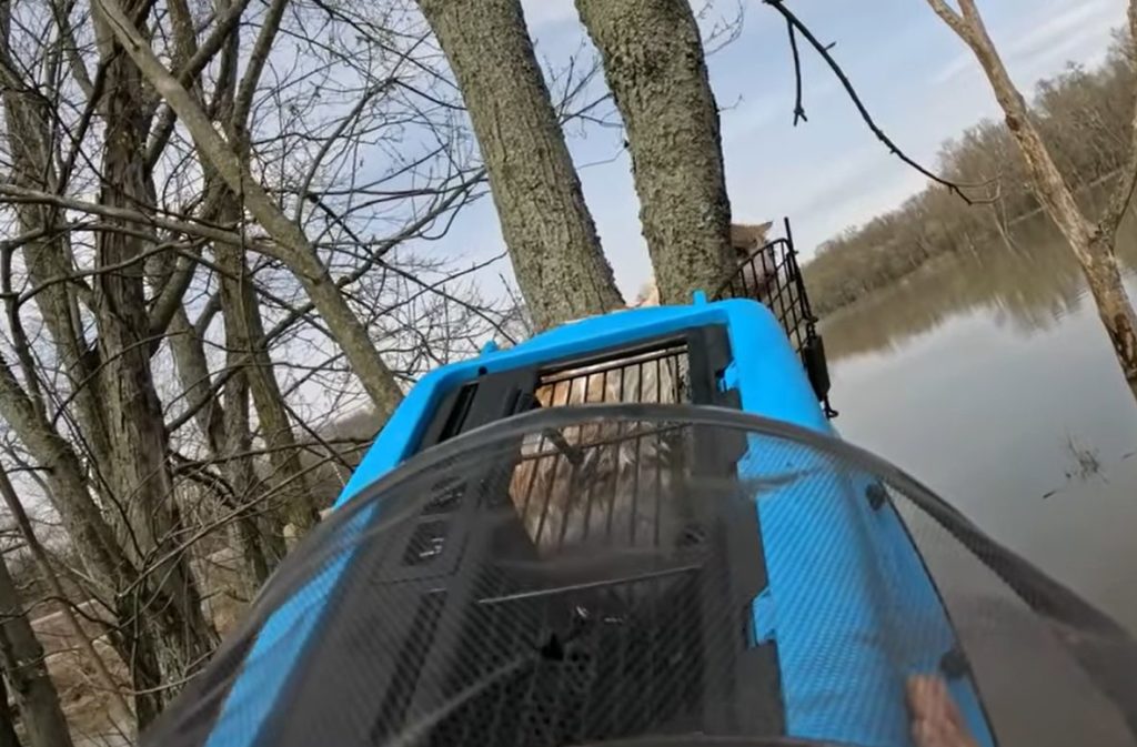 The Rescue