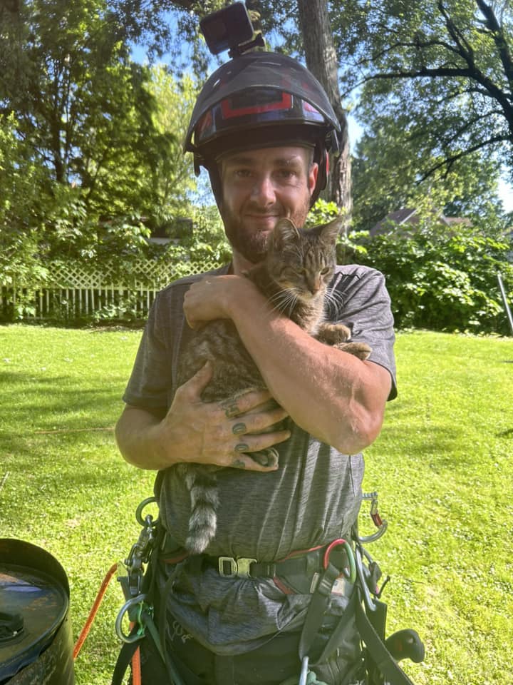 Treetop Cat Rescue
