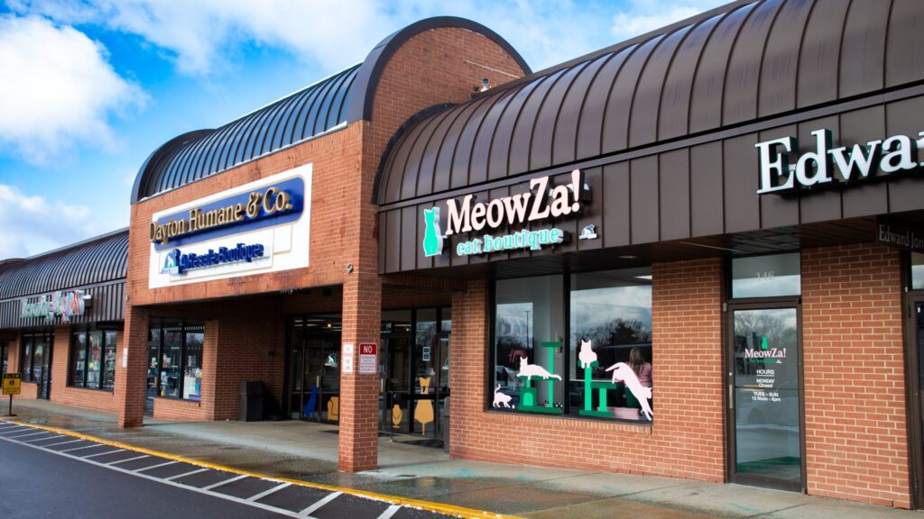 MeowZa! Cat Boutique and Dayton Humane & Co.