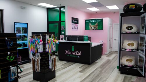 MeowZa! Cat Boutique
