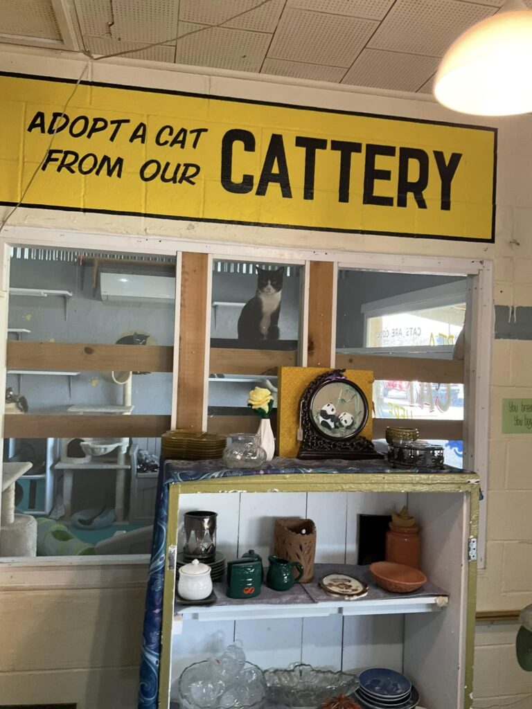 Alpine Humane Society Thrift Store and Cattery