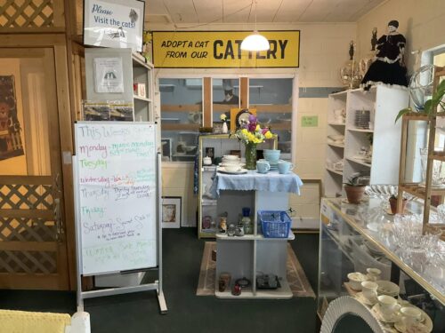 Alpine Humane Society Thrift Store and Cattery
