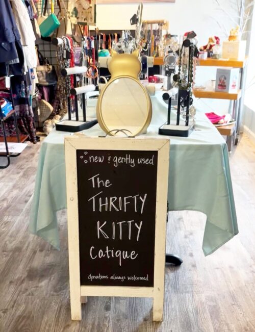 Thrifty Kitty Catique